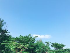 -白沙湾海滩