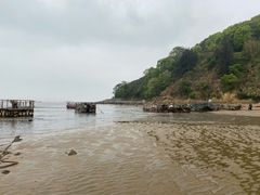 -北岐滩涂