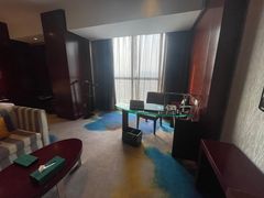 -常州环球恐龙城维景国际大酒店
