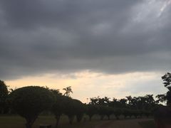 万绿园-万绿园