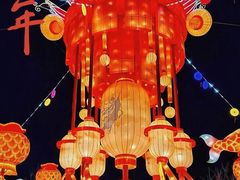 -淄博花灯齐彩城