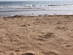 -北戴河东海水浴场