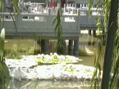 android_upload_pic-文瀛公园