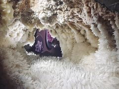 -湖南省地质博物馆