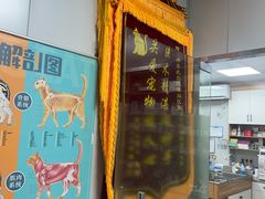 -丹景宠物医院·全科·老年病·牙科(武昌诊疗中心)