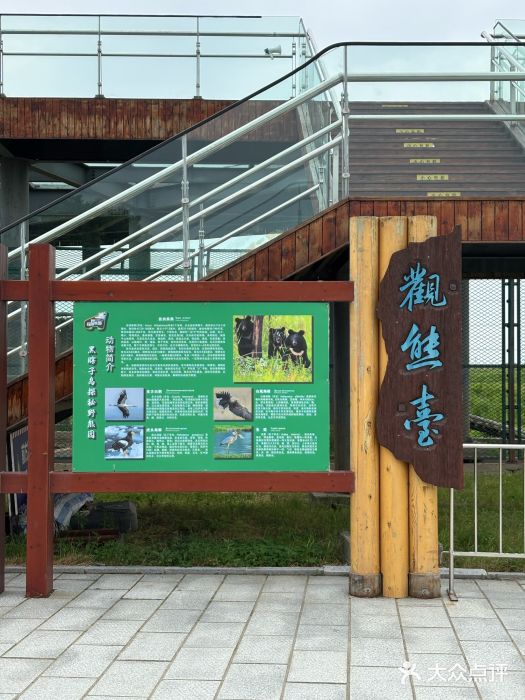 黑瞎子岛探秘野熊园图片