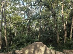 -上海佘山国家森林公园天马山园