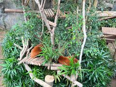 -香港海洋公园