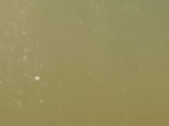 -碧海金沙