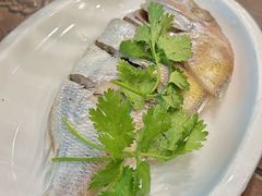 -长平肥姐白粥·海鲜打冷