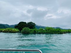 -金盆阿嬷香菇茶叶蛋(玄光店)