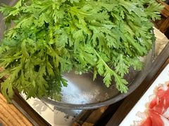 -南门四季铜锅涮肉(左家庄店)
