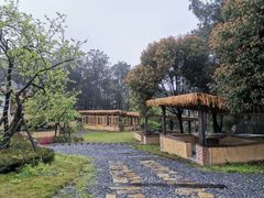 -铁山坪森林公园