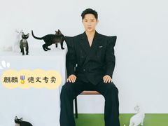 -十年猫舍·猫咪专门店(普陀店)