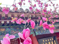 -潭柘寺景区