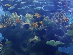 -多彩贵州城极地海洋世界