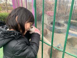 -萌宠亲子动物乐园(槐房万达店)