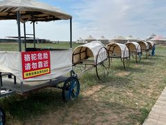 -呼伦贝尔大草原