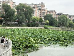 -东关回民小吃一条街(颍河西路店)