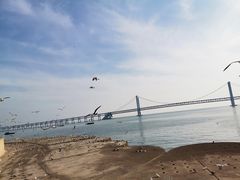 -星海广场