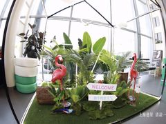 -上海德星奔驰(江杨南路店)