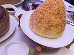 -和苑·精致粤菜(珠江新城店)