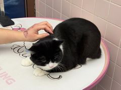 -FAELING PETS美天灵宠物(富力广场店)