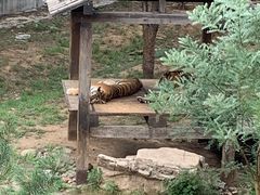 -石家庄市动物园