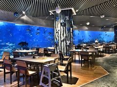 大堂-海棠湾洲际-涛·海底餐厅·美人鱼·自助餐·海底隧道