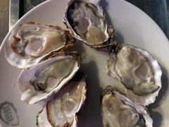 -千岛蚝高压锅生蚝·人参火锅(白云万达店)