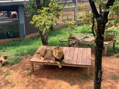 -昆明动物园