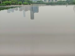 -后襄河公园