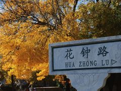 -石家庄市植物园