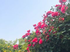 -河南省黄河迎宾馆