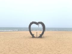 -日照海滨国家森林公园