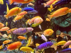 -太平洋海底世界