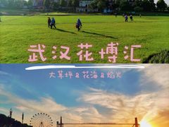 -花博汇(知音花月夜)