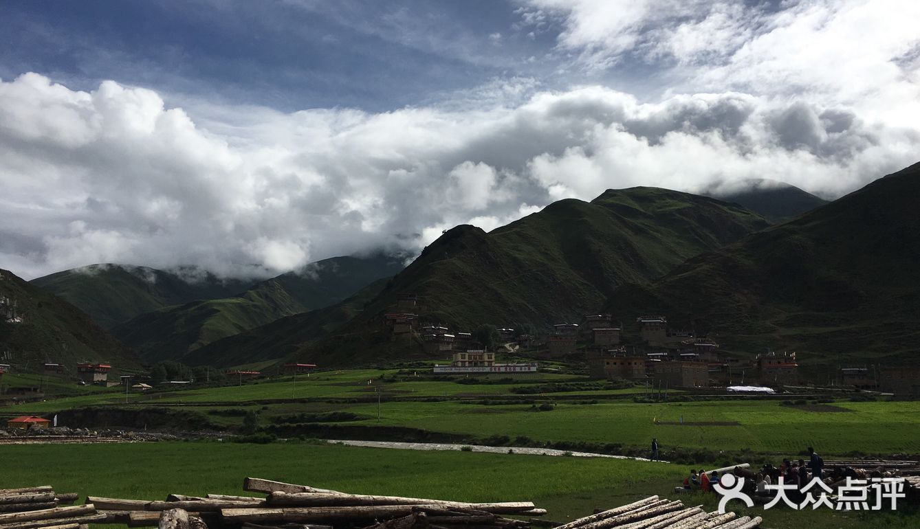 真正风吹草低见牛羊的地方