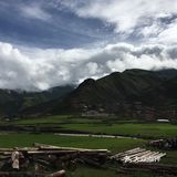 真正风吹草低见牛羊的地方