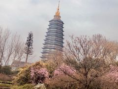 -红梅公园