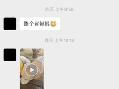 -趣玩宠物乐园寄养训犬训狗游泳池