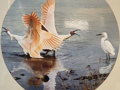 -下渚湖国家湿地公园科普馆