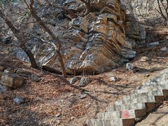 -金龙寺国家森林公园