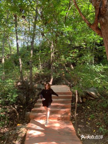 推荐指数  推荐理由： 1