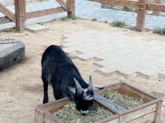 -静之湖度假区