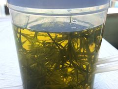 -天乐农家鱼头王(天目湖店)