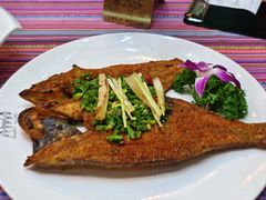 傣家香茅草烤鲈鱼-香巴拉云南餐厅(华莱坞店)