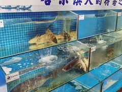 水产区-胖姐渔村(中源大道店)