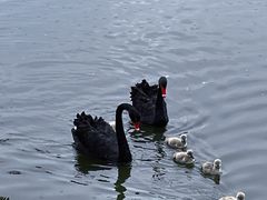 -广州长隆野生动物世界