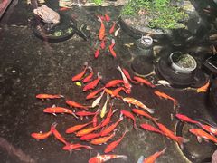 -野蔓果·山野菜(西湖景区·龙井茶田店)